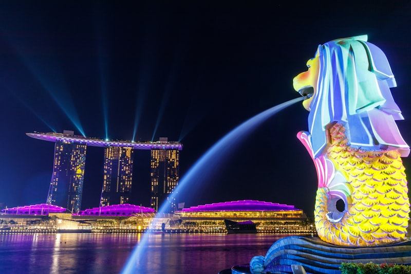 芽笼666 新加坡璀璨夜景